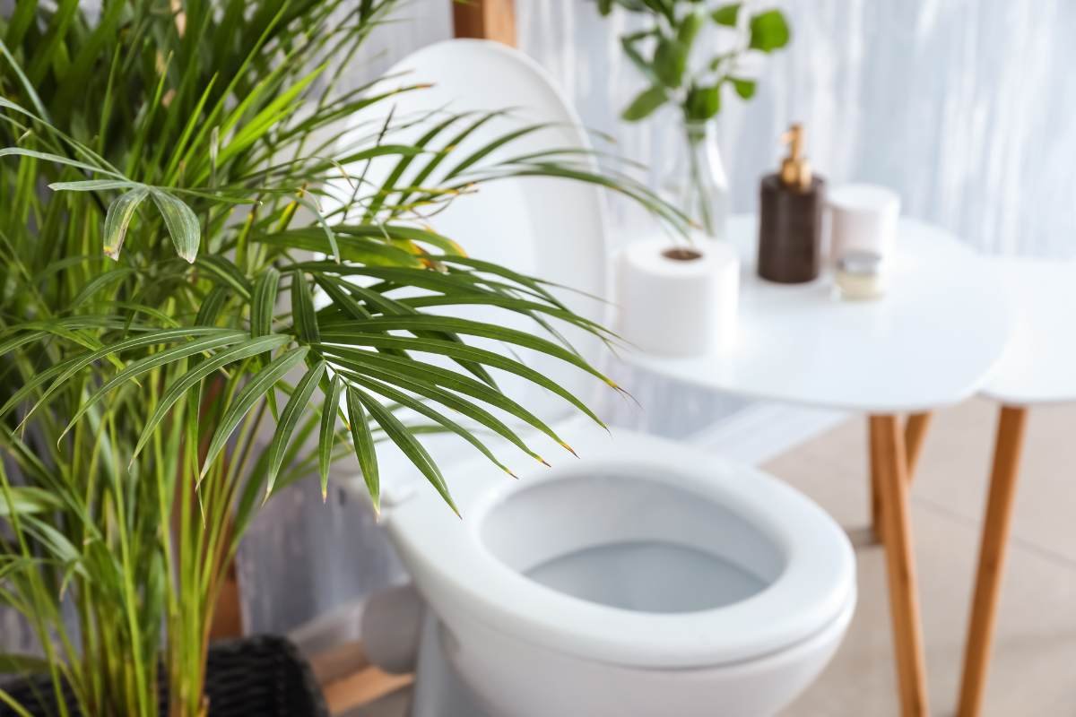 Como criar um espaço de beleza elegante para suas visitas